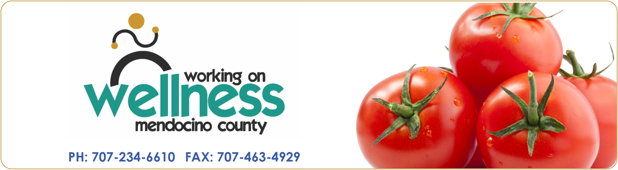 Banner - photo of tomatoes that reads Working on Wellness mendocino County - phone number 707-234-6610 and fax 707-463-4929