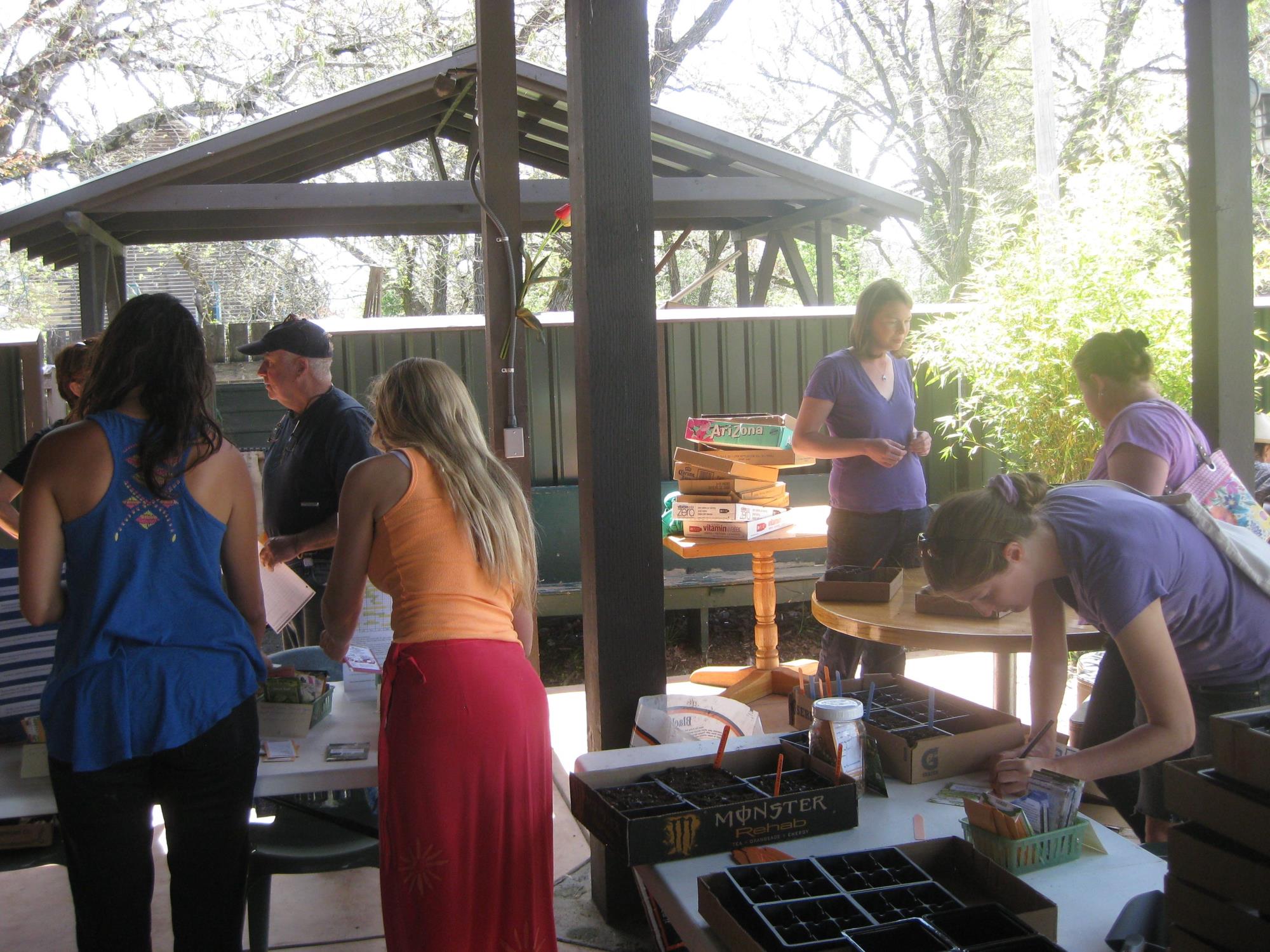 People planting seeds at outdoor event