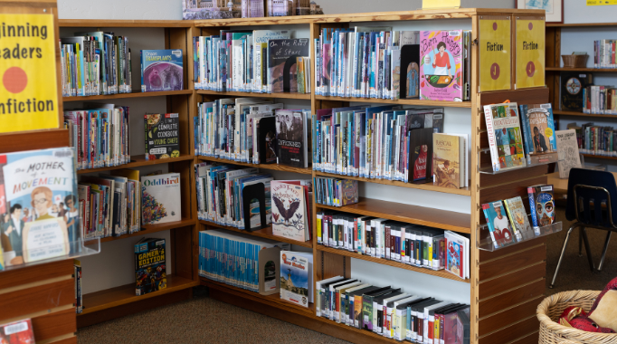 Bookshelves and books in children's library.