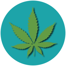 Cannabis_FAQ