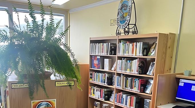 Bookshelves and plant at the Laytonville Library.