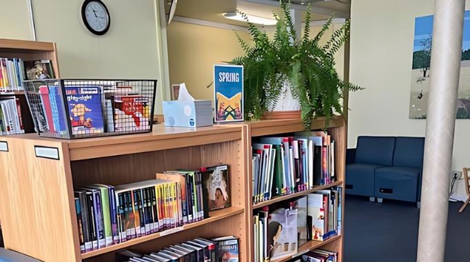 Bookshelves and plant at the Laytonville Library.