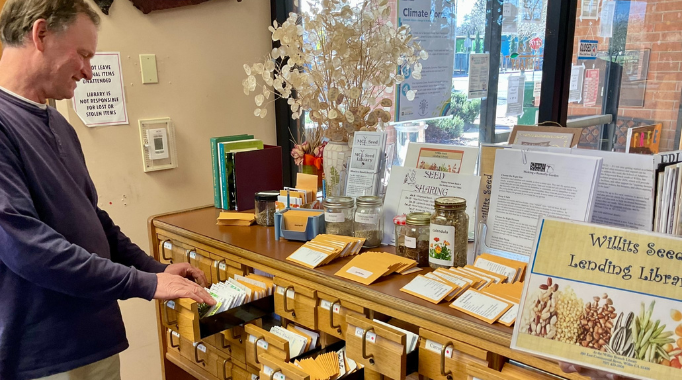 Man opening drawer of seed library.