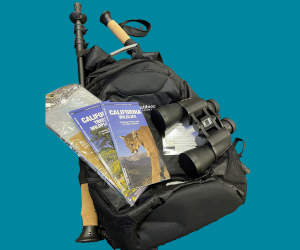 Visit the Hiking backpacks webpage.