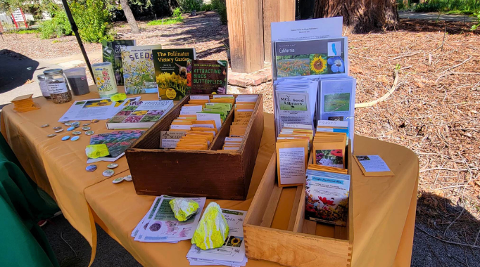 Table with books and seed packets outside.