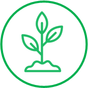 PROF SKILLS ICON