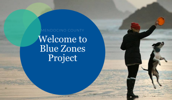 2025 Welcome to Blue Zones Project with dog