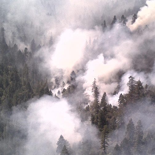 Smoke Management
