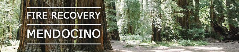 Fire Recovery Mendocino Banner