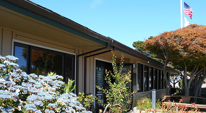 Front door and entrance of the Fort Bragg Library with bushes.